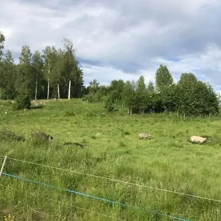 Vacation In Feriehus