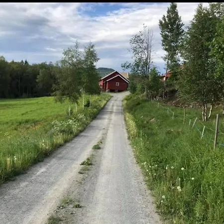 Vacation In *