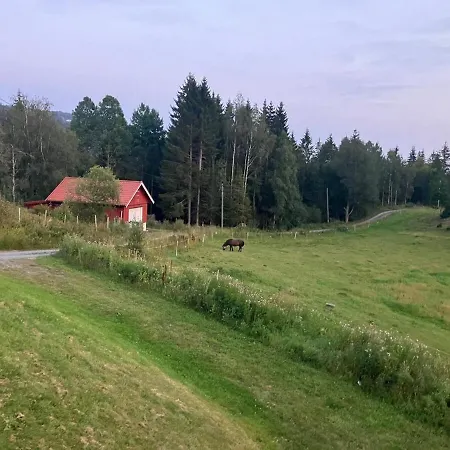 Vacation In Oslo